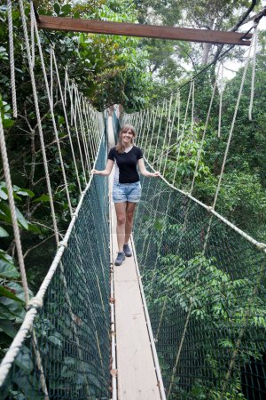 Photo for Woman canopy walkway. Taman negara national park. Malaysia - Royalty Free Image