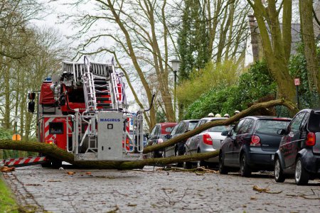 Photo for BELGIUM, Uccle: A tree fall on a car is pictured on Moscicki Avenue in Uccle, near Brussels, on March 28, 2016 as firefighters are on the ground. The Royal Meteorological Institute has issued an alert for strong wind all over the country. - Royalty Free Image