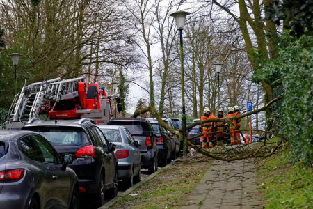 Téléchargez les photos : BELGIUM, Uccle: A tree fall on a car is pictured on Moscicki Avenue in Uccle, near Brussels, on March 28, 2016 as firefighters are on the ground. The Royal Meteorological Institute has issued an alert for strong wind all over the country. - en image libre de droit