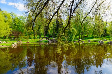 Foto de Jardín japonés en el parque Kadriorg, Tallin - Imagen libre de derechos