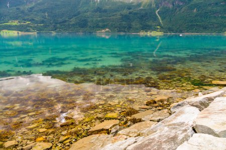Photo for Norwegian stony fjord coast - Royalty Free Image
