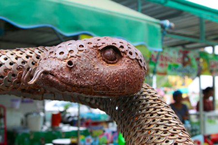 Foto de Anillo de hierro serpientes de cascabel HUN LEK KORAT en Nakhon Ratchasima, Tailandia. - Imagen libre de derechos
