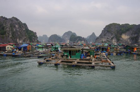 Téléchargez les photos : Baie de Ha-Long, Vietnam, 3 janvier 2015 : Vue de la baie de Ha Long - en image libre de droit