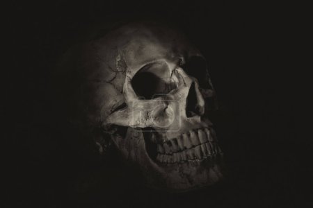 Téléchargez les photos : Crâne humain sur fond noir - en image libre de droit
