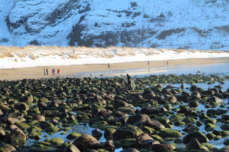 Téléchargez les photos : Plage de pierre, Hoddevika Norvège - en image libre de droit