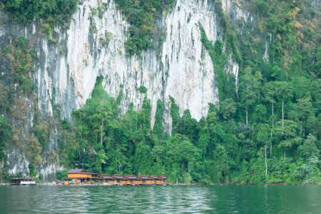 Téléchargez les photos : Le parc national de Khao Sok est une réserve naturelle dans le sud de la Thaïlande avec une jungle dense et intacte - en image libre de droit