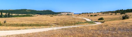 Photo for Road in the steppes - Royalty Free Image