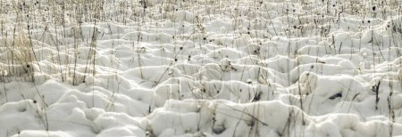 Téléchargez les photos : Pays des merveilles hivernales blanches. Beau fond naturel - en image libre de droit