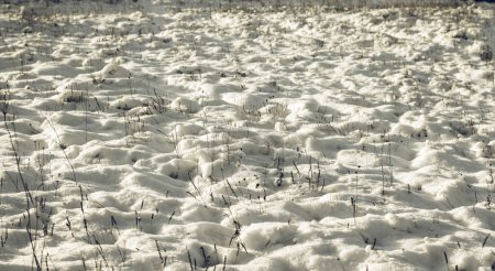 Foto de Maravillas invernales blancas. Hermoso fondo natural - Imagen libre de derechos
