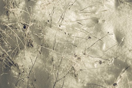 Foto de Maravillas invernales blancas. Hermoso fondo natural - Imagen libre de derechos