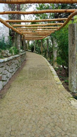Foto de Detalle de un sendero forestal, Sintra, Portugal - Imagen libre de derechos