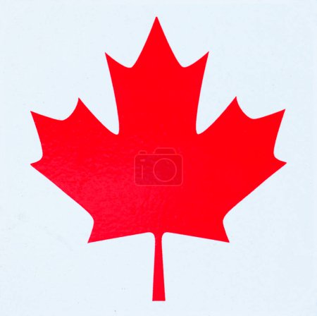 Photo for The canadian flag on the white background - Royalty Free Image