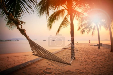 Photo for Beach cradle on coconut tree against beautiful sun set sky summer - Royalty Free Image