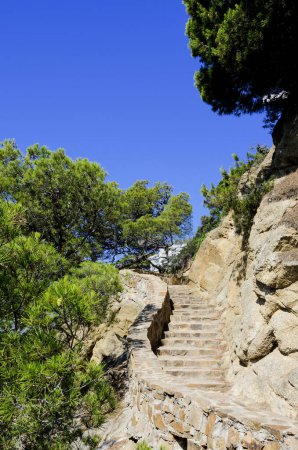 Photo for Rock stairs background at day - Royalty Free Image