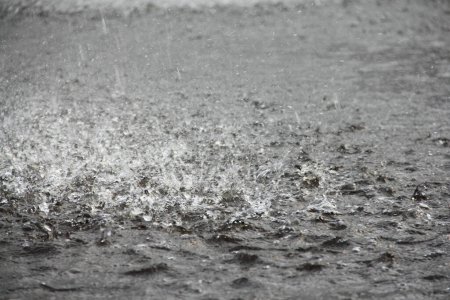 Téléchargez les photos : Pluie forte sur le sol - en image libre de droit