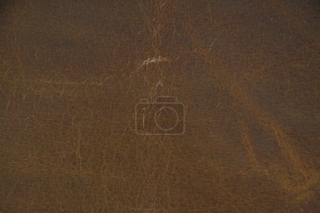 Photo for Leather texture closeup. Use for background - Royalty Free Image