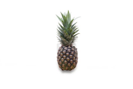Photo for Pine apple on white background - Royalty Free Image