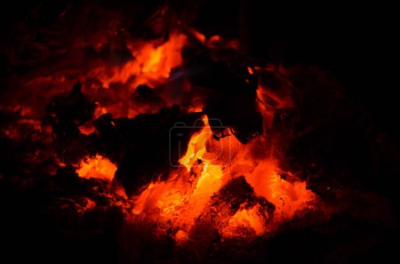 Photo for Fire on the ground - Royalty Free Image