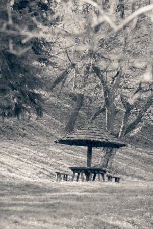 Photo for Picnic place on hill in forest - Royalty Free Image
