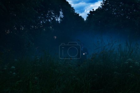 Photo for Lonely man with flashlight wandering in vague forest landscape. Mysterious light in gloomy dark field with mist between trees and grass.Horror moment in foggy forest. Dark man silhouette on the trail - Royalty Free Image