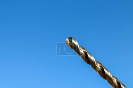 Téléchargez les photos : Les forets isolés avec le fond du ciel bleu - en image libre de droit