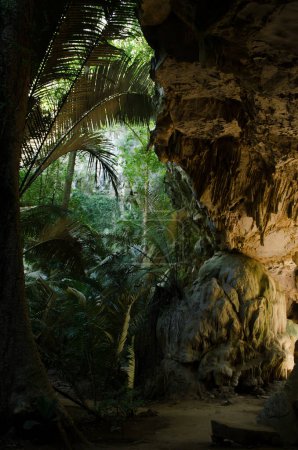 Téléchargez les photos : Grotte verte en Thaïlande - en image libre de droit