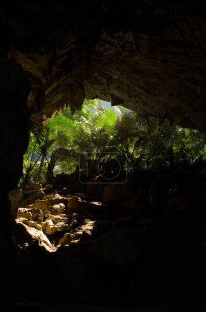 Photo for Green cave in Thailand - Royalty Free Image
