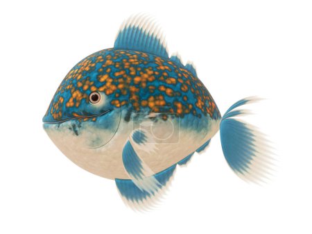 Téléchargez les photos : Gros poisson comique sur fond blanc - en image libre de droit