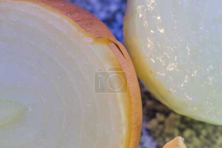 Photo for Close up view of ripe onion vegetable - Royalty Free Image