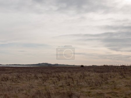 Photo for "open sea coast plain with grass in front horizon overcast clear " - Royalty Free Image