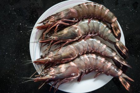 Photo for Large King Prawns background view - Royalty Free Image