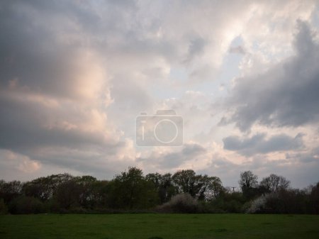 Téléchargez les photos : "Coucher de soleil sur le champ avec des arbres nuages dramatiques fond de la nature" - en image libre de droit