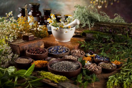 Téléchargez les photos : Assortiment d'herbes médicinales naturelles et de mortier sur table en bois - en image libre de droit