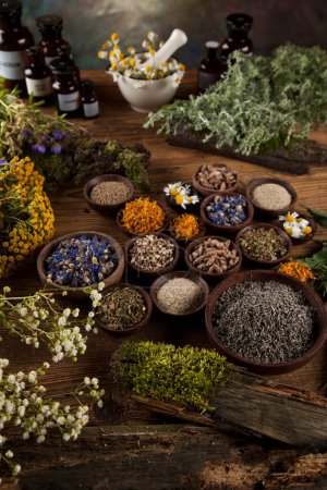 Photo for Assorted natural medical herbs and mortar on wooden table - Royalty Free Image