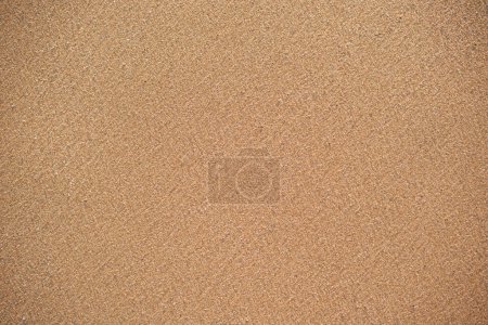 Foto de Fondo de arena de playa, primer plano - Imagen libre de derechos
