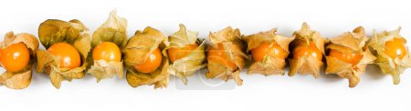 Photo for "Physalis, fruits with papery husk" - Royalty Free Image