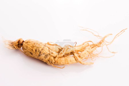 Foto de "Extracto de raíz de ginseng
" - Imagen libre de derechos
