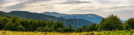 Téléchargez les photos : "Panorama des montagnes des Carpates en été
" - en image libre de droit