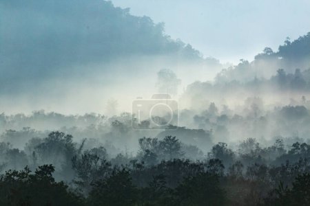 Foto de Bosque en tailandiay niebla vista - Imagen libre de derechos