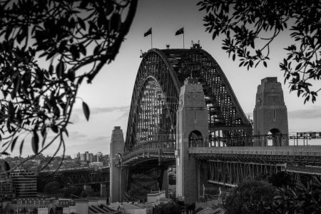 Téléchargez les photos : Sydney Harbour Bridge, noir et blanc - en image libre de droit