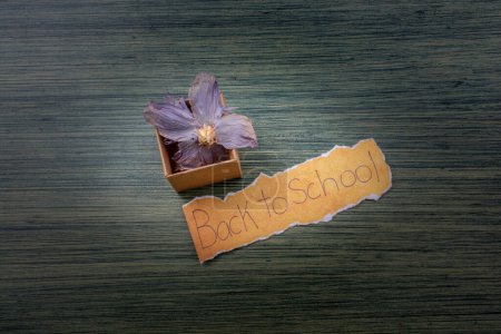 Photo for Back to school wording on  torn paper - Royalty Free Image