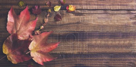 Foto de Hojas secas de otoño sobre fondo de madera - Imagen libre de derechos