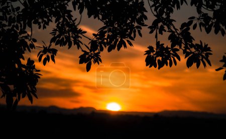 Photo for Framed sunset through the trees - Royalty Free Image