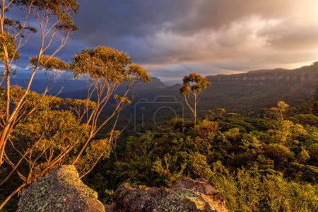 Photo for Beautiful scenic view. Nature landscape - Royalty Free Image