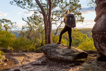 Photo for Female bushwalker with backpack walking in Australian bushland - Royalty Free Image