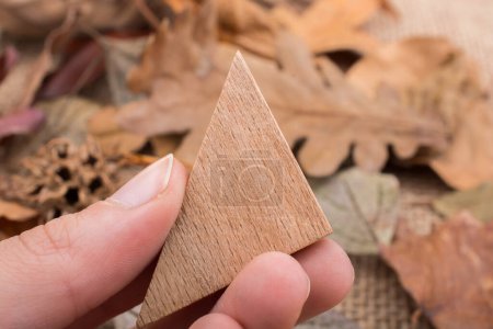 Téléchargez les photos : "Main tenant triangle en bois sur les feuilles
" - en image libre de droit