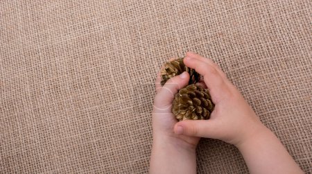 Photo for "Hand holding pine cones on a canvas " - Royalty Free Image