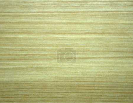 Photo for "The texture of sawn wood. Background. Macros" - Royalty Free Image