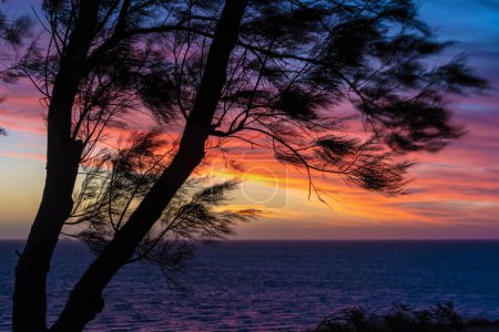 Téléchargez les photos : Silhouette d'aiguilles côtières contre le coucher de soleil orange dans l'océan Indien à Shark Bay Australie Occidentale - en image libre de droit