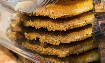 Photo for "Fresh honey in the sealed comb frame" - Royalty Free Image